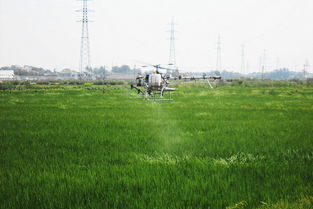 无人机在农业上的应用